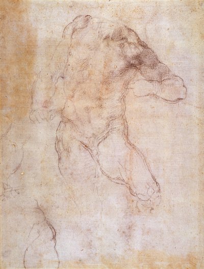 Studie eines männlichen Aktes von Michelangelo Buonarroti